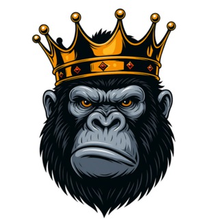 𝐆𝐨𝐫𝐢𝐥𝐥𝐚 𝐒𝐥𝐨𝐭 𝐕𝐮̛𝐨̛𝐧𝐠