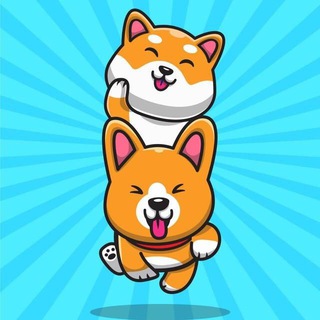 Coshi Inu 中文社区