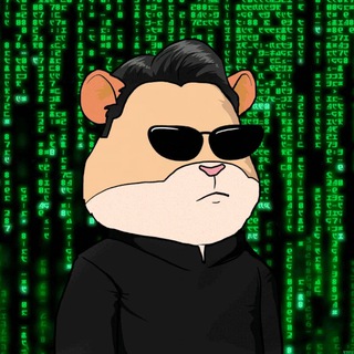 Crypto Hamsters Chat
