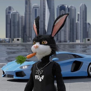 GameFi & NFT Metaverses