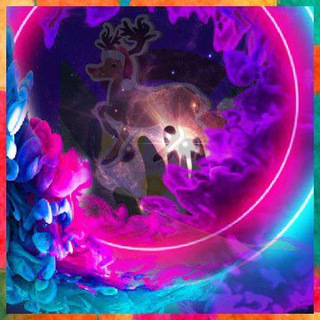 📊CRYPTO LEARNING HUB