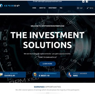 CRYPTO-PAY INVESTMENT COMPANY