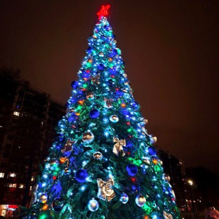 ДОЛГОПРУДНАЯ АЛЛЕЯ