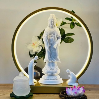 គ្រូដារ៉ា កូនភ្លោះឆ្នោតយួន