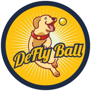 🐶 DeFlyBall Official Channel 🐶