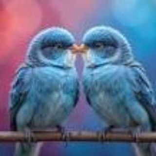 Delhi NCR Dating Group