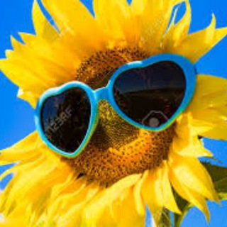 Дитяча афіша у Берліні - Детская афиша в Берлине