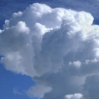 знакомства сегодня