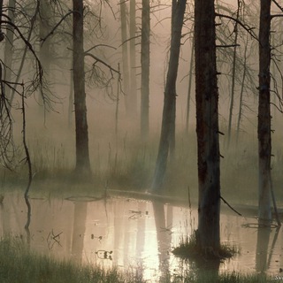 ЗНАКОМСТВА😈ОНЛАЙН😈ДЕВУШКИ 24