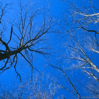 чат знакомств