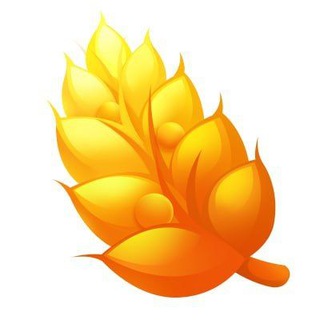 DFS Network Official