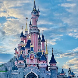 Disneyland Amigos y Fans de Disney