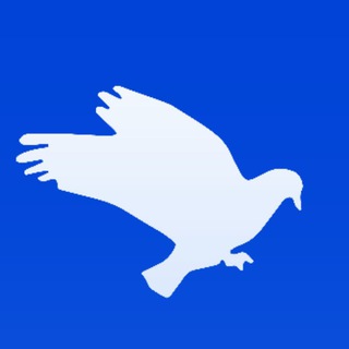 DMM货币市场中文社区