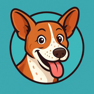 Dobby Coin | HAVEN 🧦✨