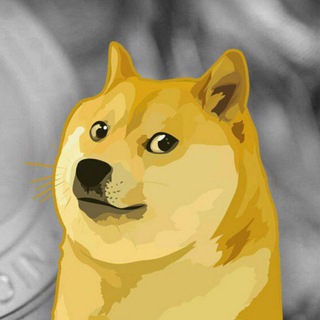Doge Coin Pump