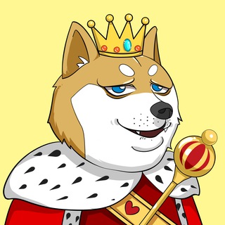 DOGE KINGDOM中文群🇨🇳