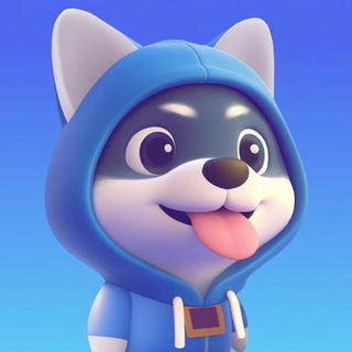 Dogizen 2.0 Official Community