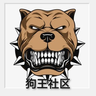 狗王社区