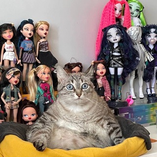 Любители кукол в Cербии