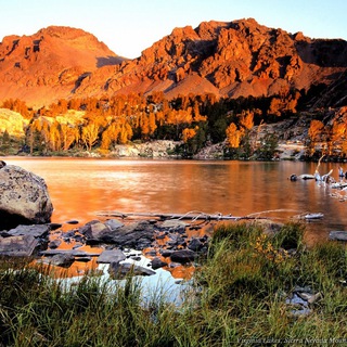 Знакомства Балаково