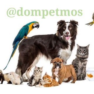 ДОМАШНИЕ ПИТОМЦЫ - ТиНАО| НАО| ЮЗАО| ЗАО /г.МОСКОВСКИЙ @dp-mo