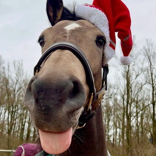 Дорамщики💗✨