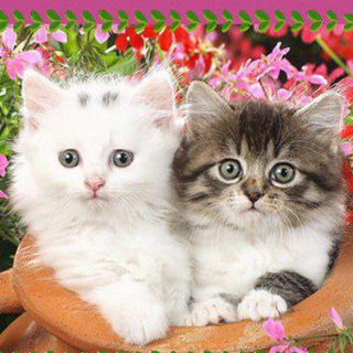 ❤️Общения ❤️Новые знакомства❤️