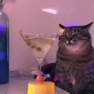 Пьяные кружочки