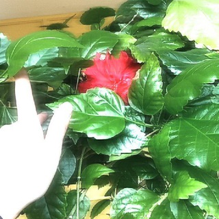 Знакомства