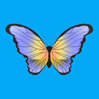 LPM 30 ✘ 𝗧𝗔𝗠𝗕𝗔𝗞𝗕𝗘𝗧