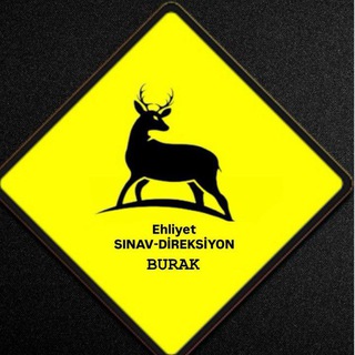 EHLİYET Sınav/Direksiyon