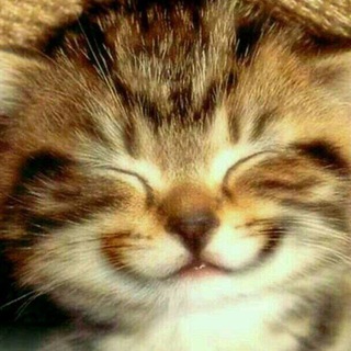 Знакомства ВИЗ Екатеринбург ❤️