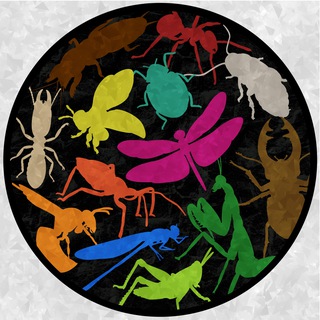 ENSING (Ento Network of SG)