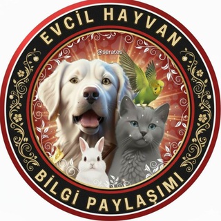 Evcil Hayvan Bilgi Paylaşımı