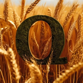 ФЕРМАЛОГИЯ CS2 🌾 Chat