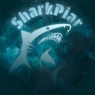 Чат SharkProject