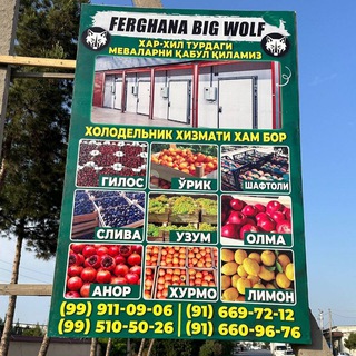 🐺FERGHANA BIG WOLF🐺 МЕВА - САБЗАВОТ ЭКСПОРТИ