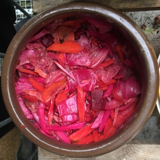 Fermentation - Fragen, Tauschen, Teilen