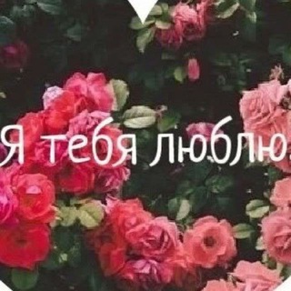 Феи Киева | Содержанки и Спонсоры | Ескорт Знакомства Вписки Киев Chat