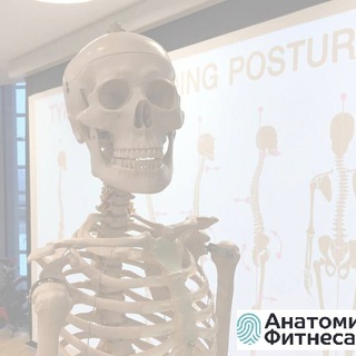 ФИТНЕС и ДВИЖЕНИЕ: вакансии, обмен опытом, законодательство