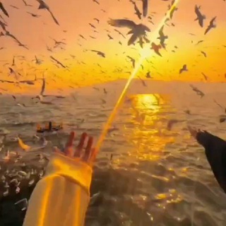 𝗙 𐓘 𐓰፝֟ 𐑦 ⲛ 𐓝 ࣻ 𝗟 𐑦 𐓝፝֟ ʜ ᴛ ᛏ᪲