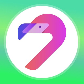 🦩 Flamingo.Finance 🦩