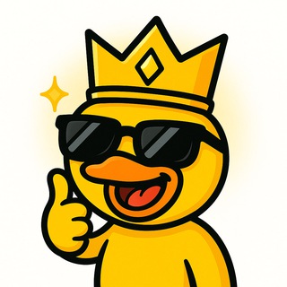 Чат Флексуса