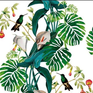 🌿🌸 Цветочный мир 🌸🌿