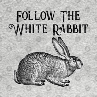 Follow The White Rabbit ™ Chat 🐇