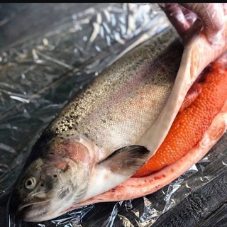 Форель Осетии. Чертаново/Аннино