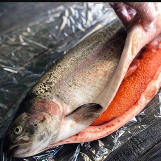 Форель Осетии СВАО