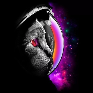 Бакланы 😎🤜🤛