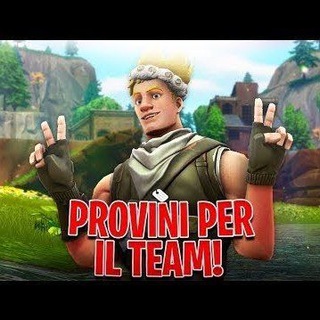 Fortnite Provini