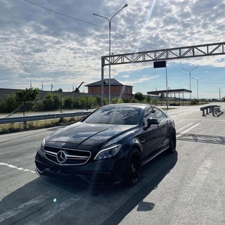 freezek.team⚡️ ЧАТ